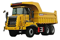 CMT66