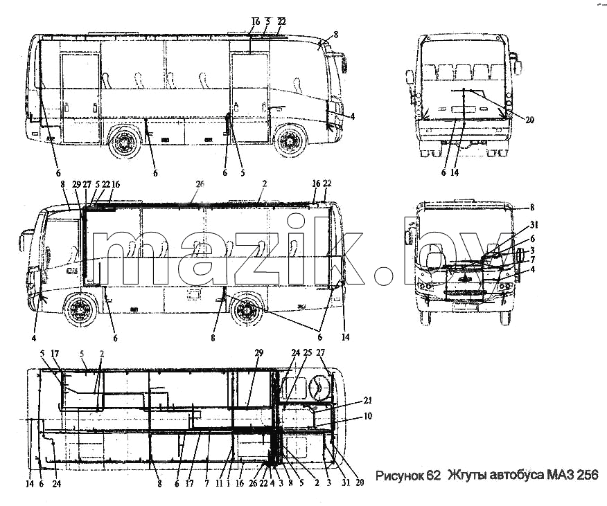 Жгуты автобуса МАЗ 256