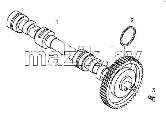  CAMSHAFT