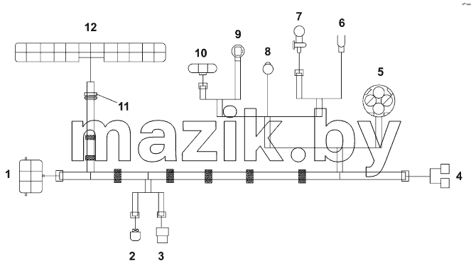 3724E-T0900 Пучок электропроводов двигателя