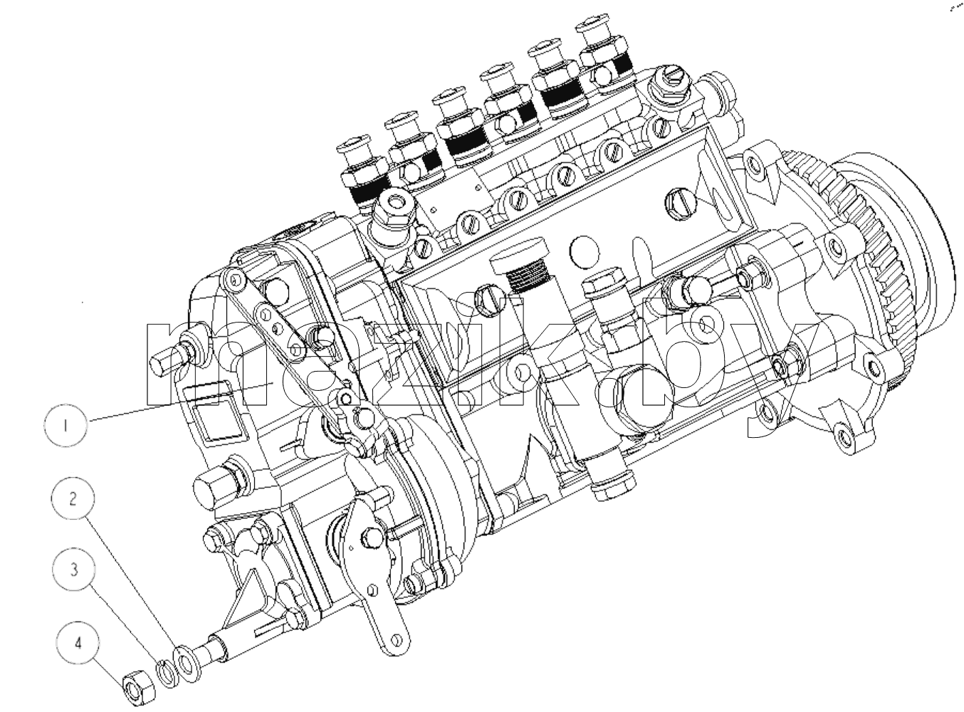  Fuel Injection Pump Assembly