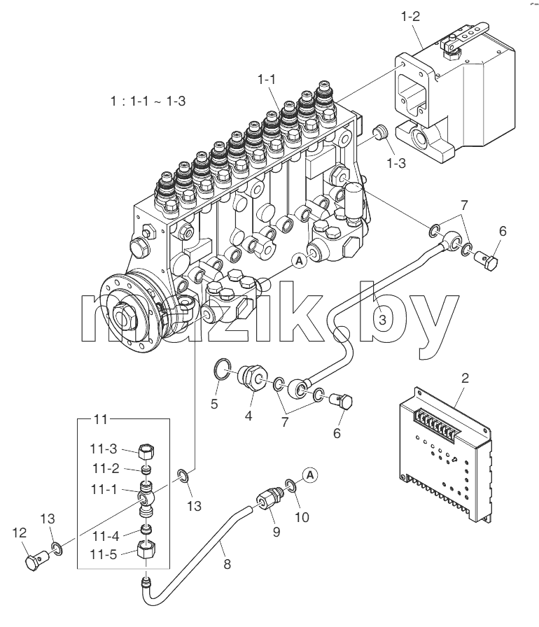 Injection Pump (1)