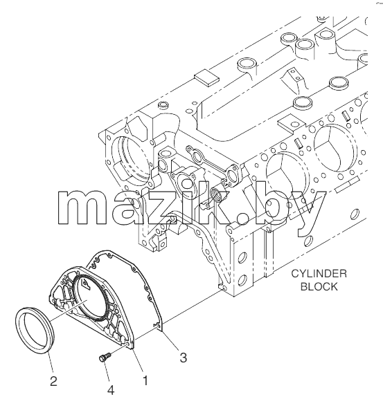 Oil Seal