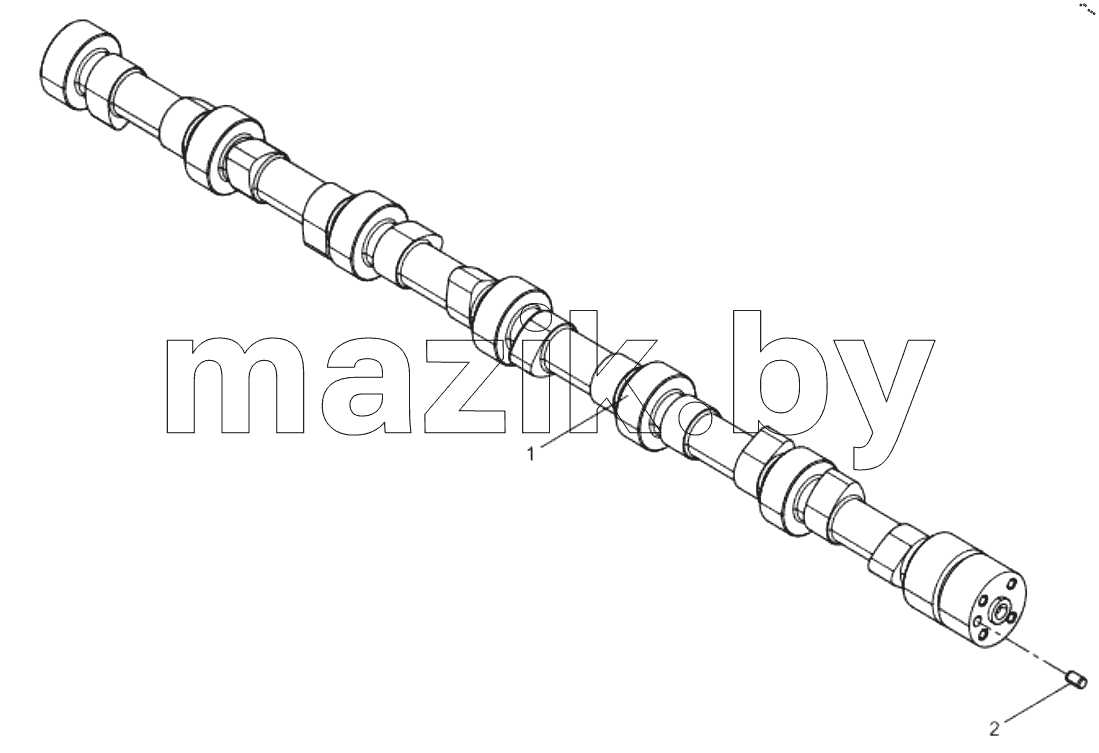  Camshaft Assembly