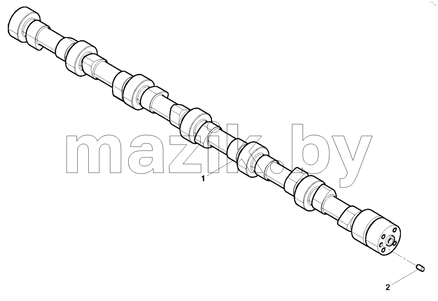  Camshaft Assembly