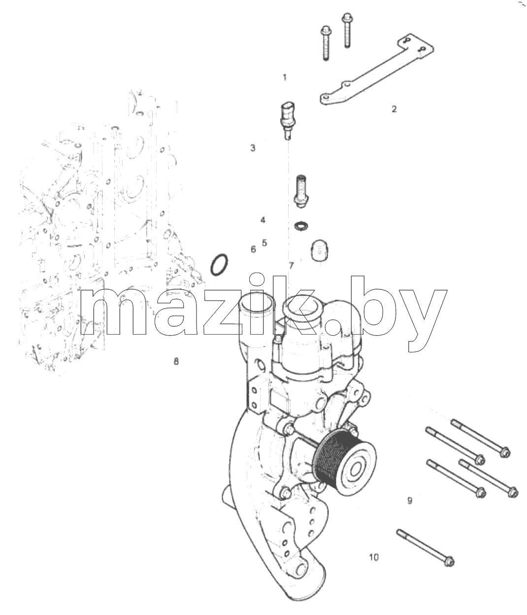  1000410-DZ718 Engine Aseembly-Water Pump Group