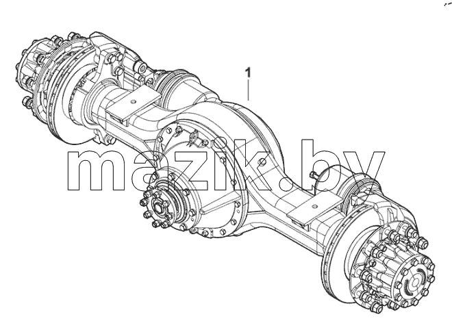  Rear axle assembly 224201156