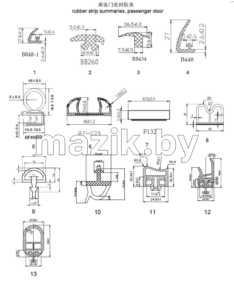  Passenger door strip