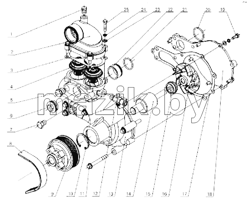 Assembly, water pump