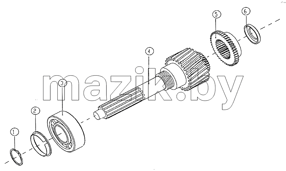 Input shaft