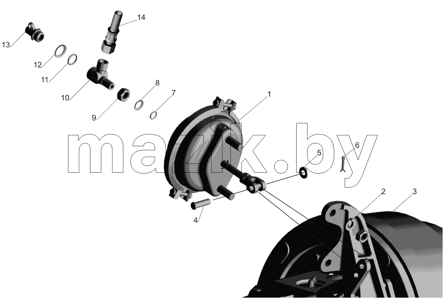 Установка тормозных камер 437141-3519001