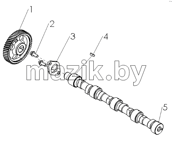 R3000-1006000 Camshaft Assembly