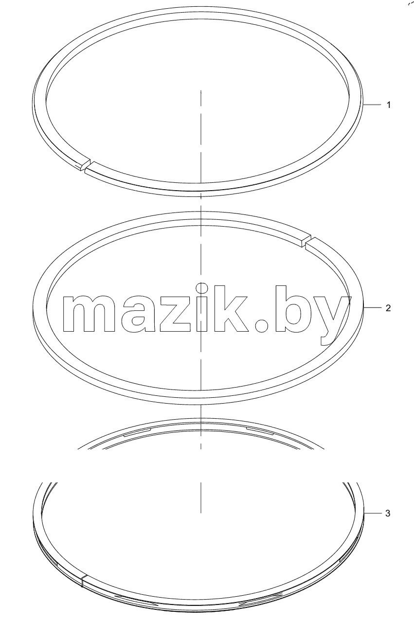  160102130004A006 Piston Ring Set
