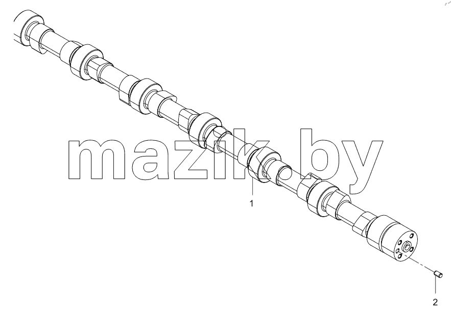  61000722 Camshaft Assembly
