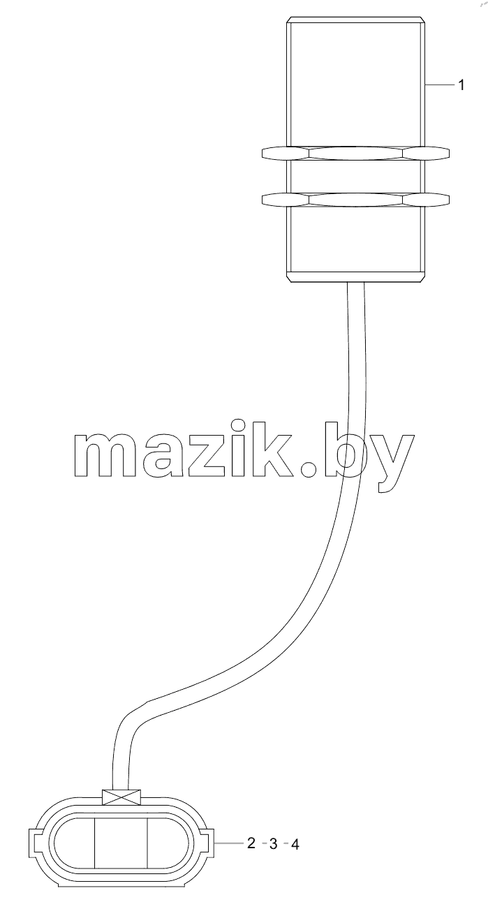  14501918 Switch