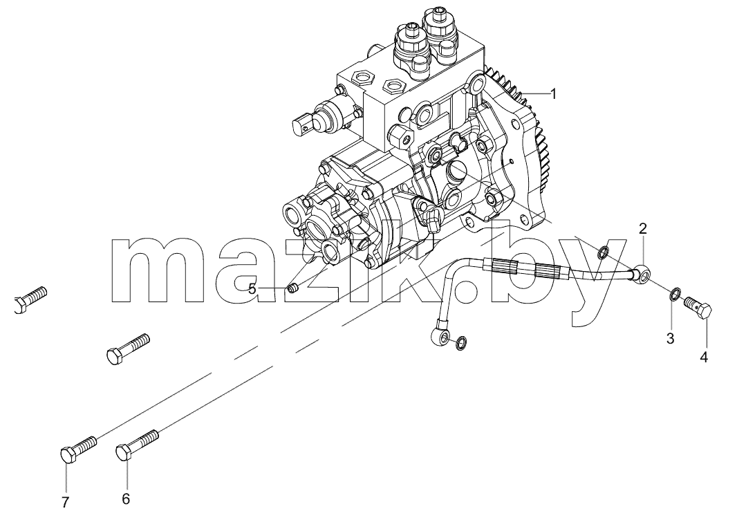 160102120008A196 Fuel Injection Pump Group