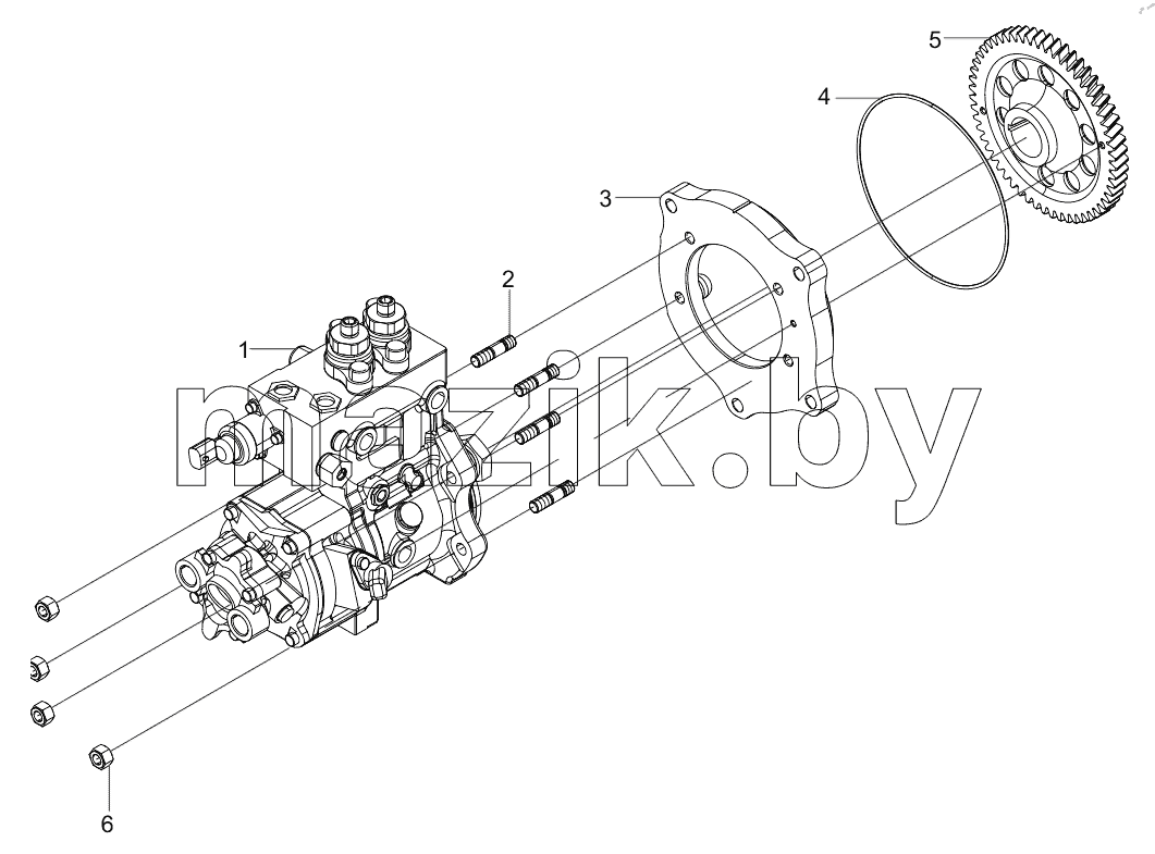  61000166 Pump, Injection