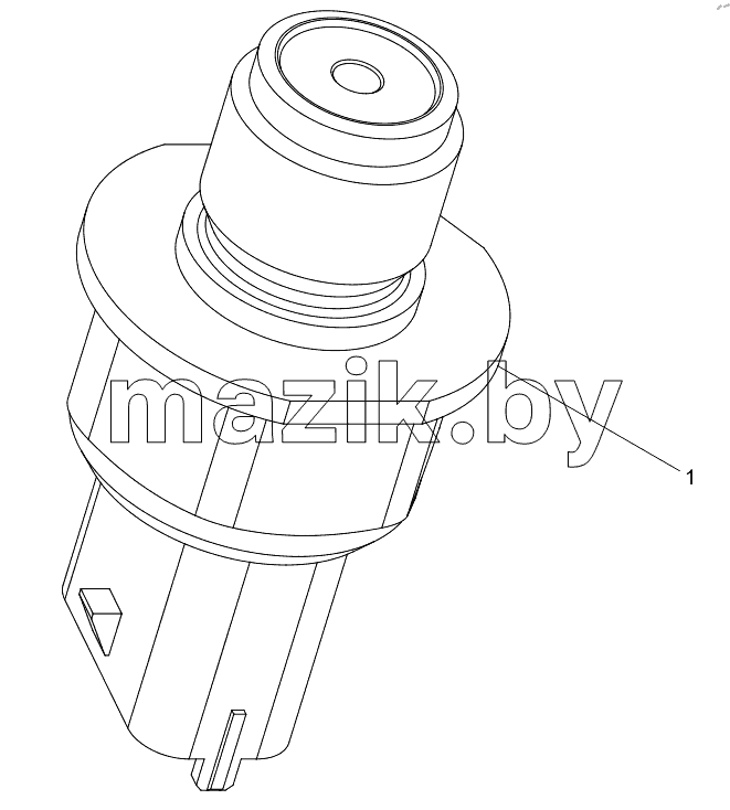  COMMON RAIL