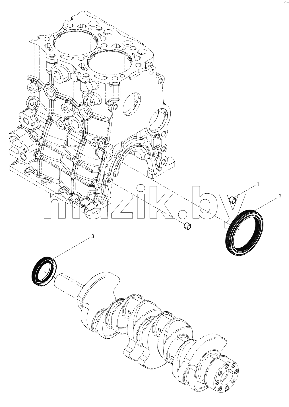  Oil Seal Group