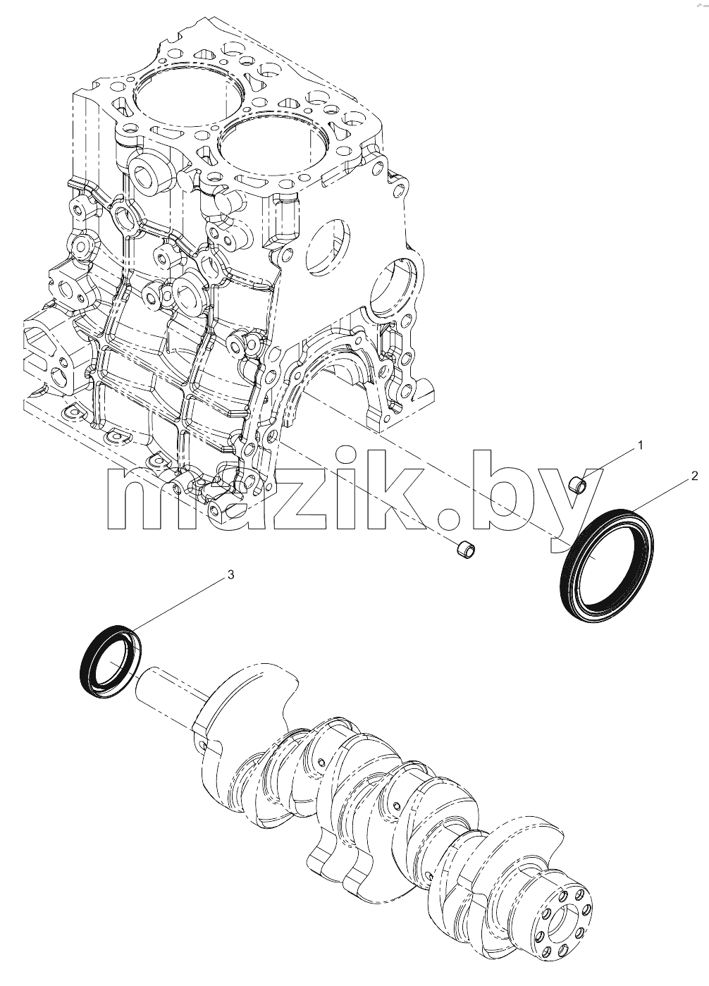  Oil Seal Group