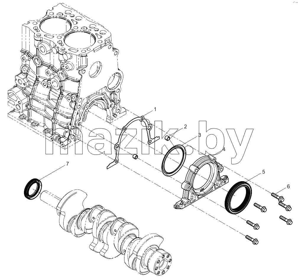 Oil Seal Group