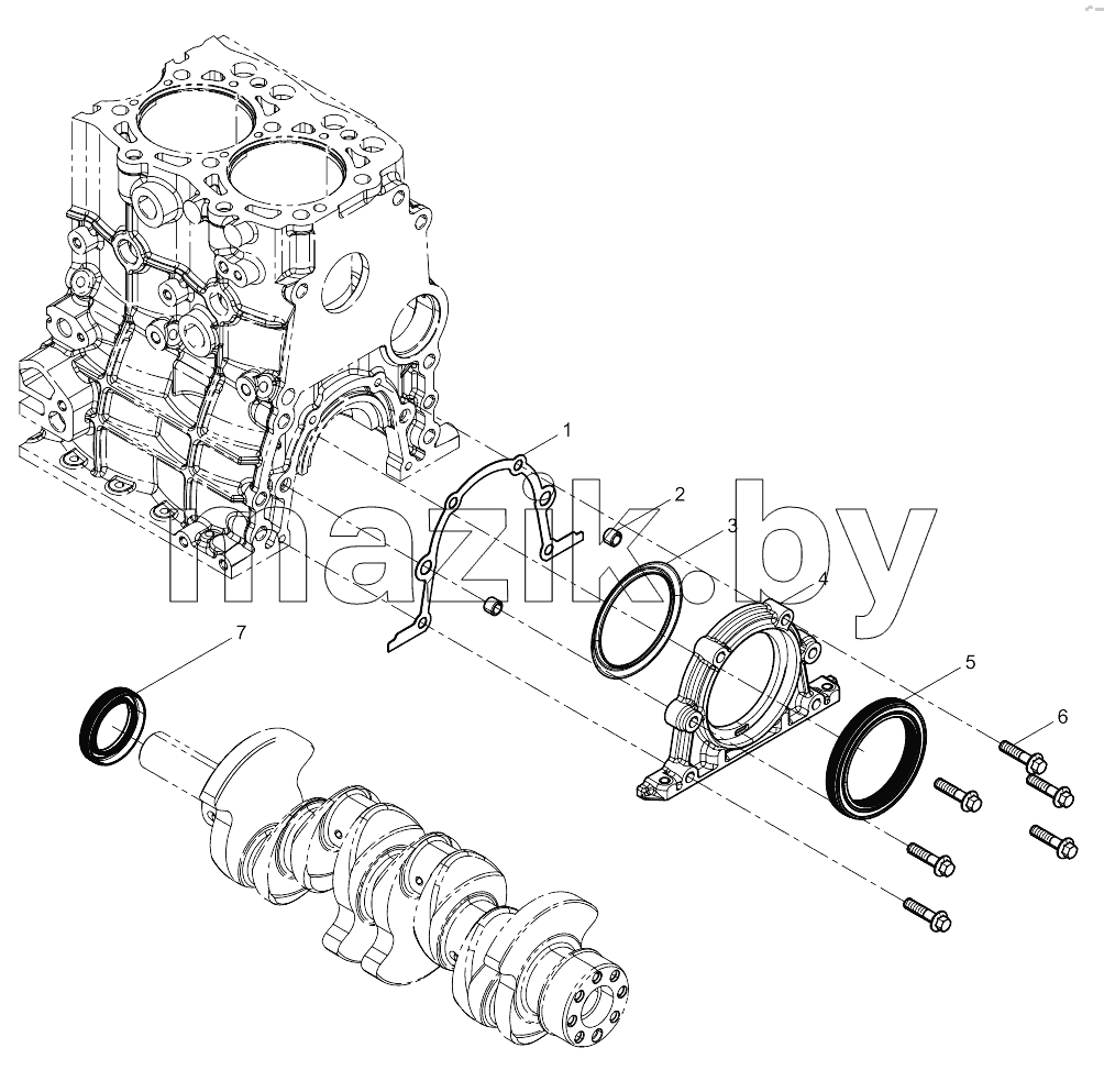  Oil Seal Group