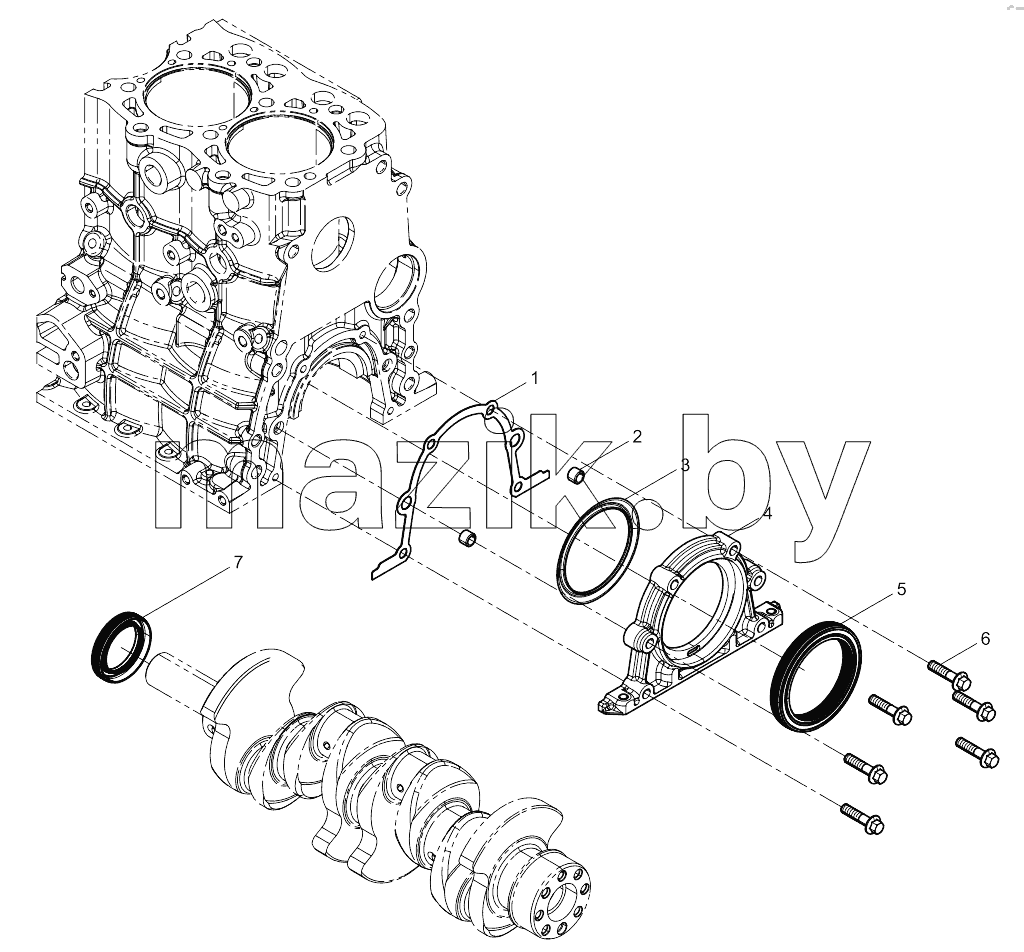  Oil Seal Group