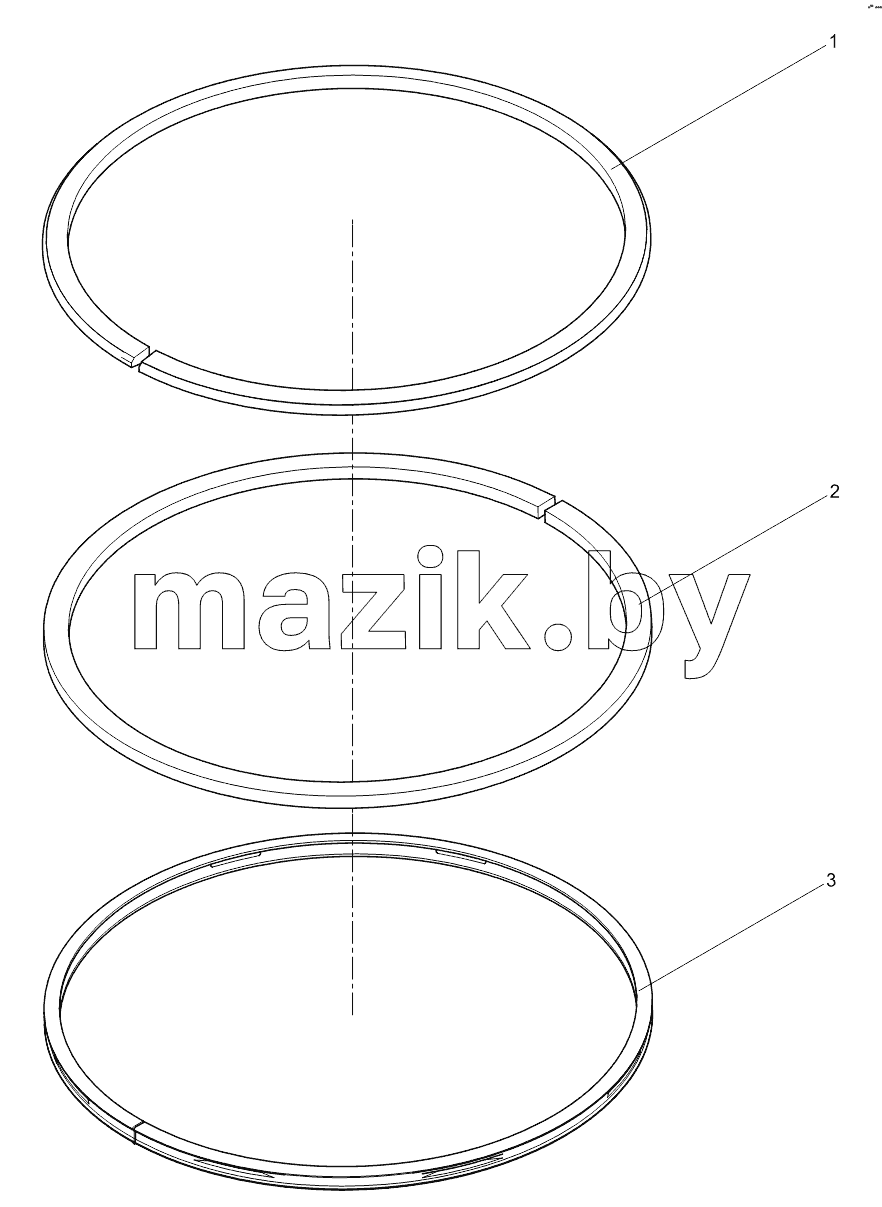 Piston ring assembly