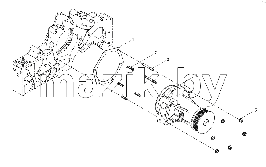 Water pump assembly