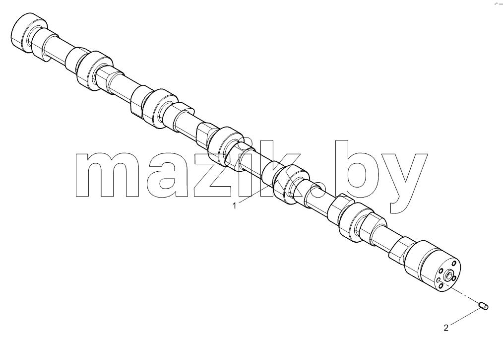 Camshaft assembly