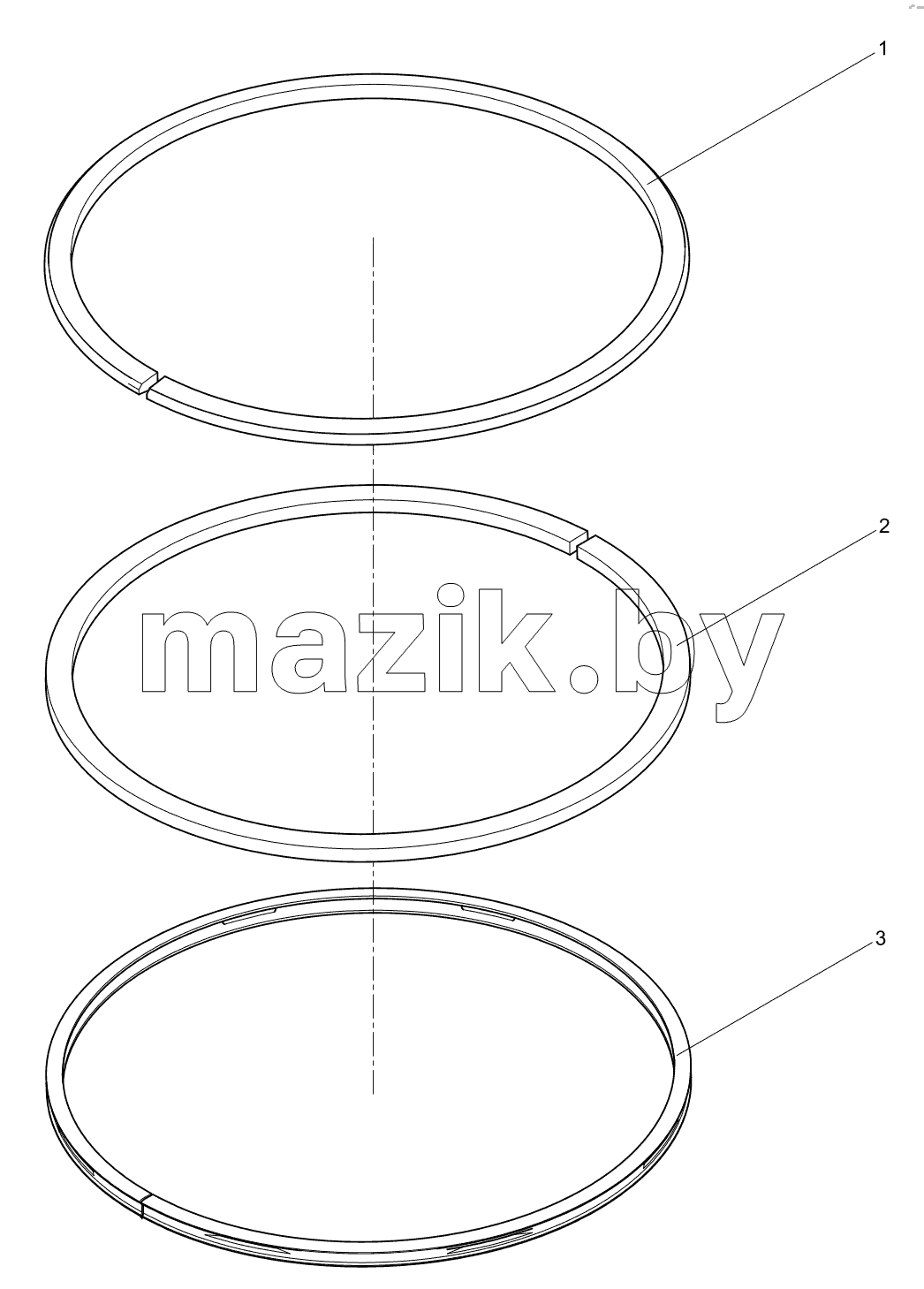  Piston ring assembly