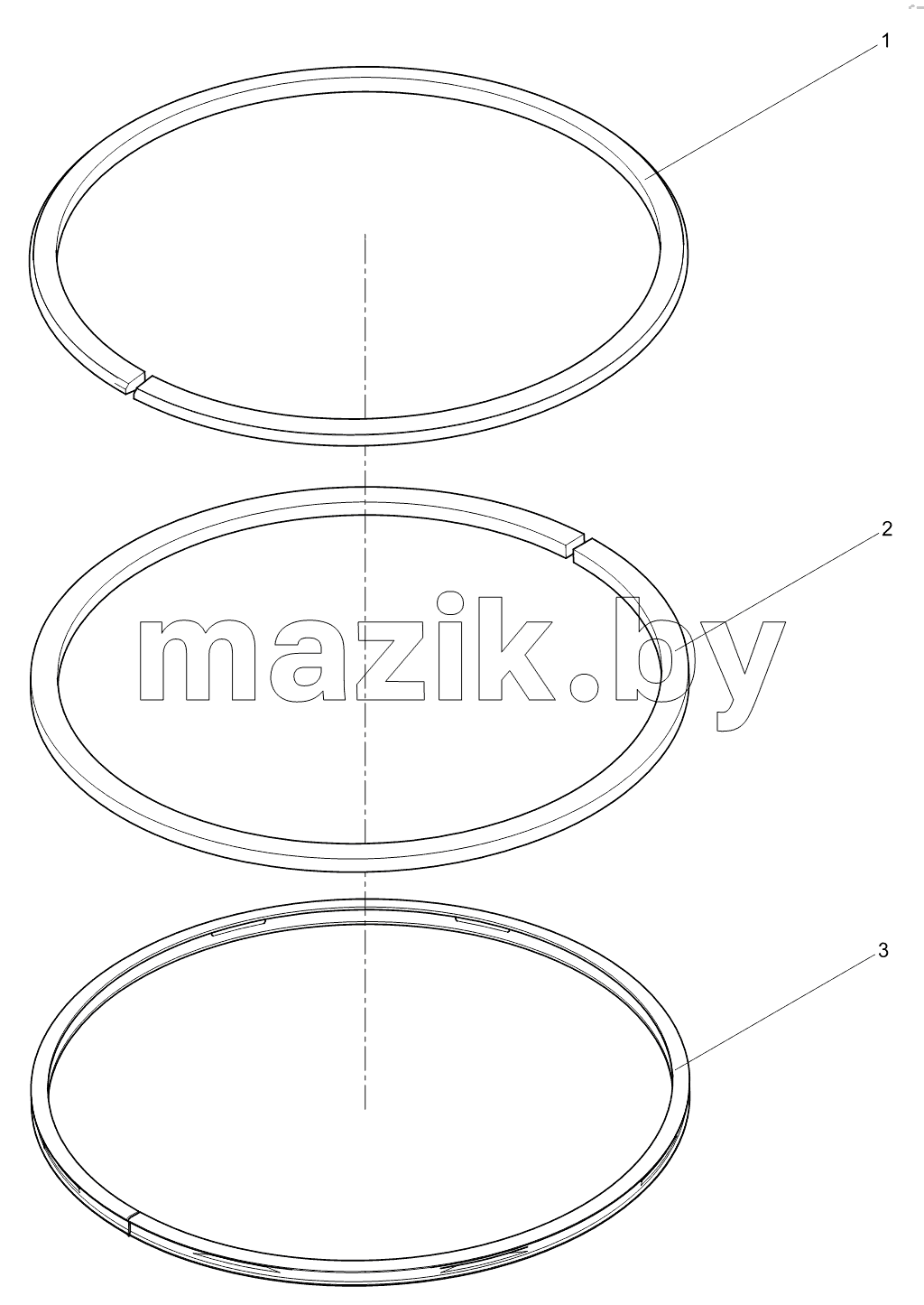 Piston ring assembly