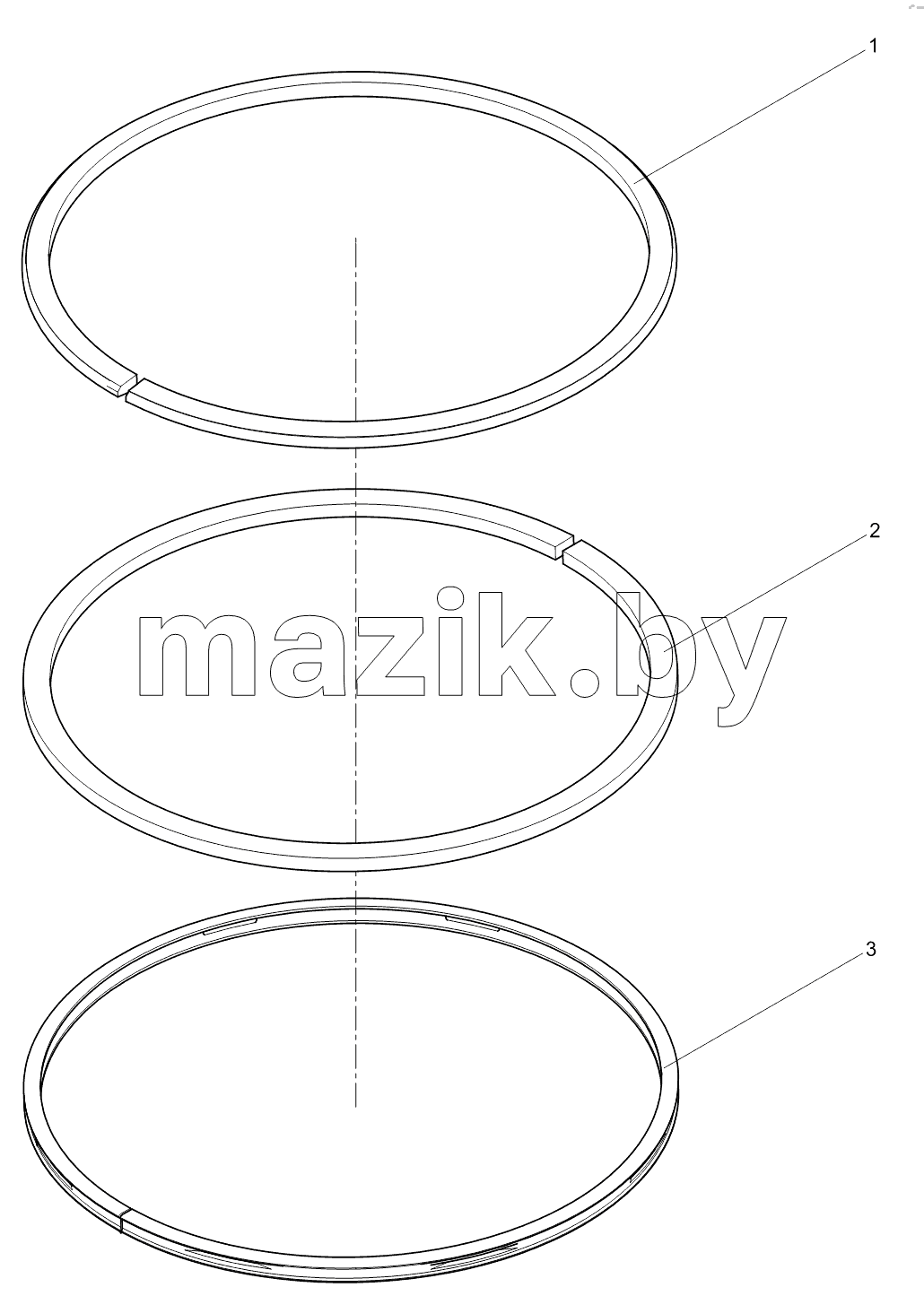 Piston ring assembly