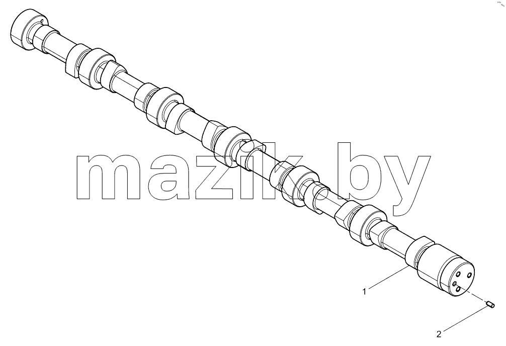  Camshaft Assembly