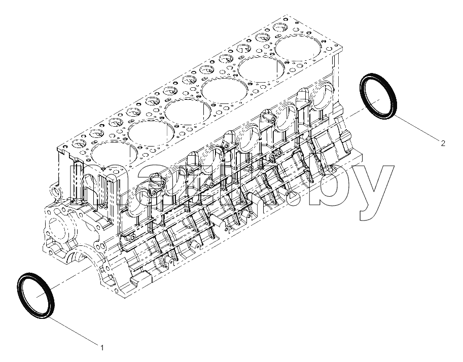  Oil Seal Group