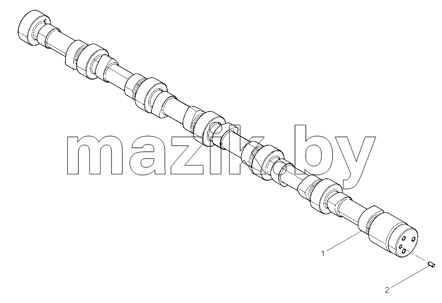  Camshaft Assembly