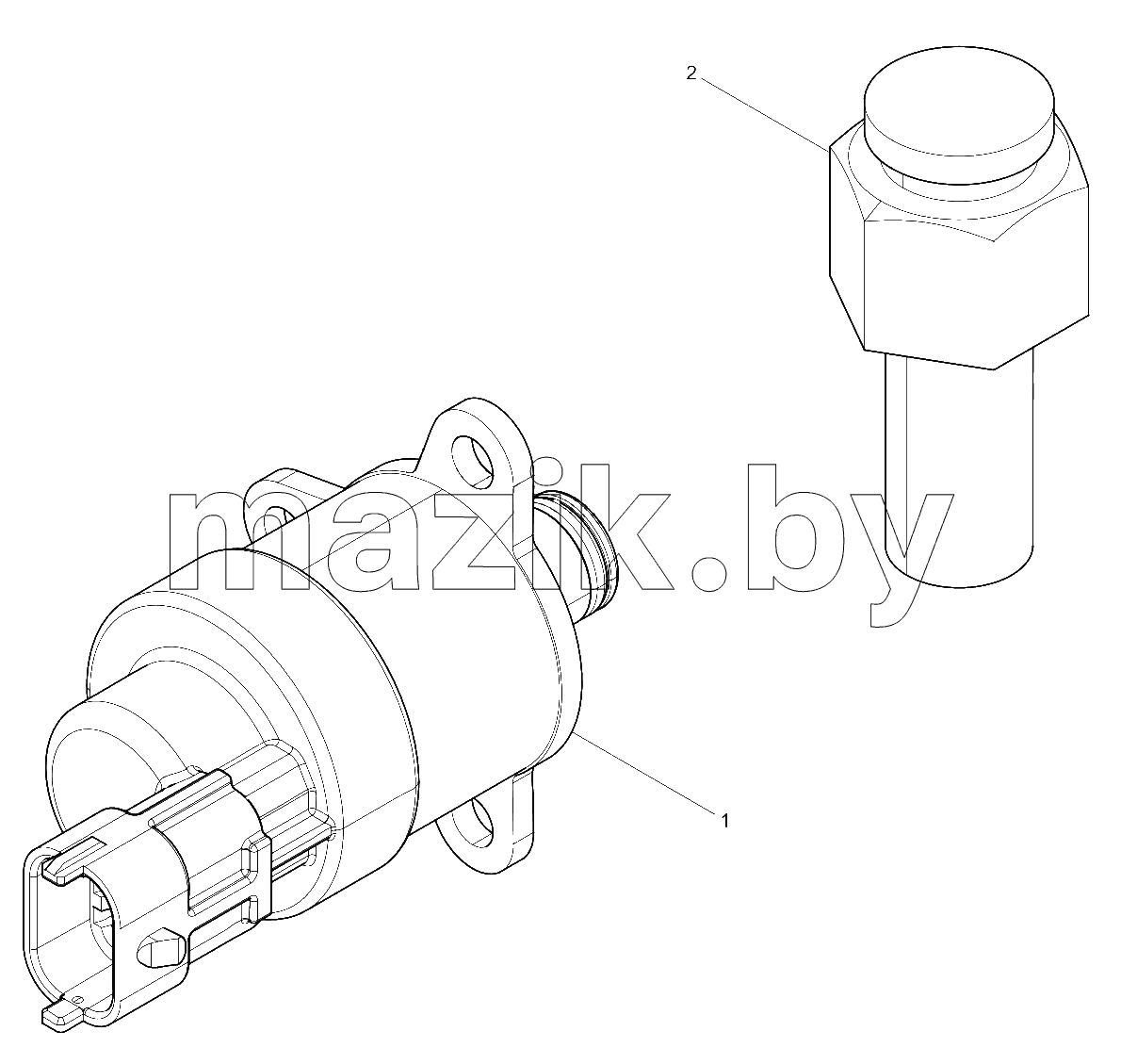  Fuel Injection Pump Assembly