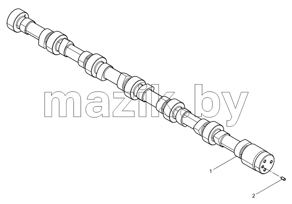  Camshaft group