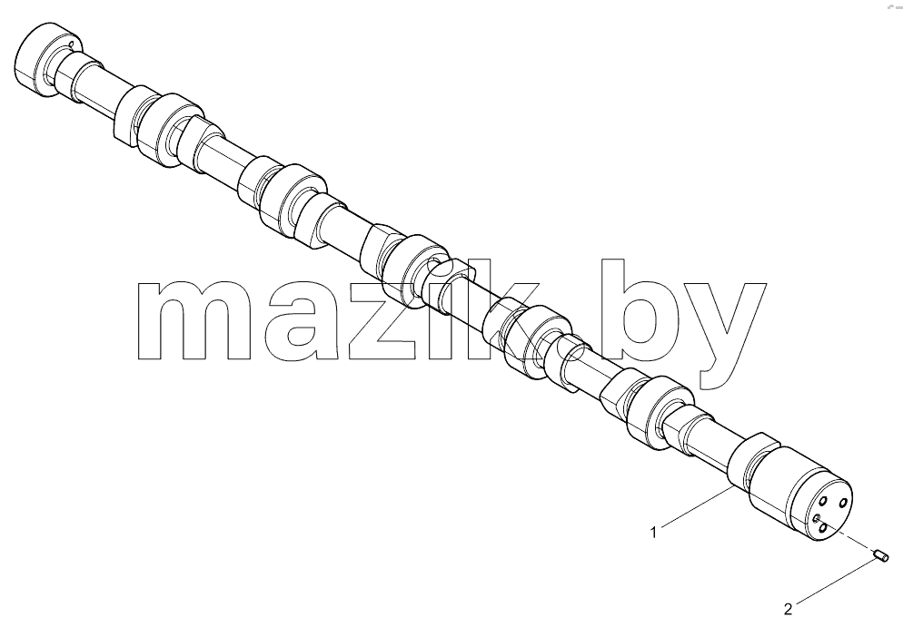  Camshaft Assembly