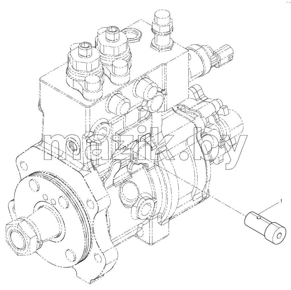  Fuel Injection Pump Assembly