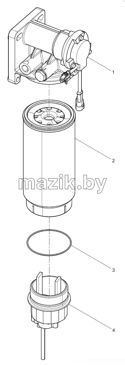  Fuel System Protector