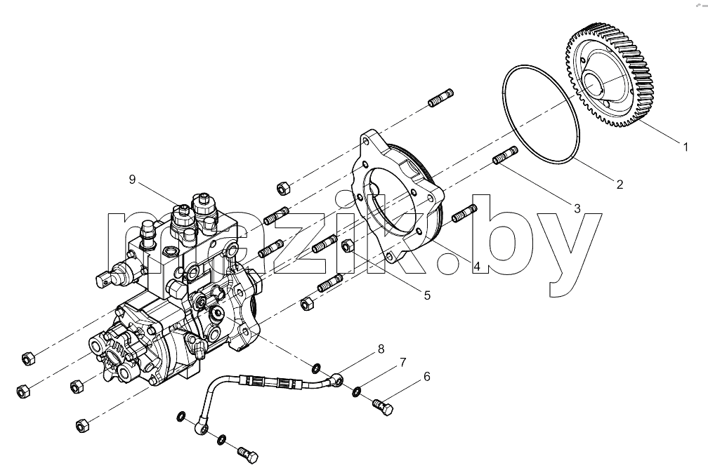  High pressure pump assembly