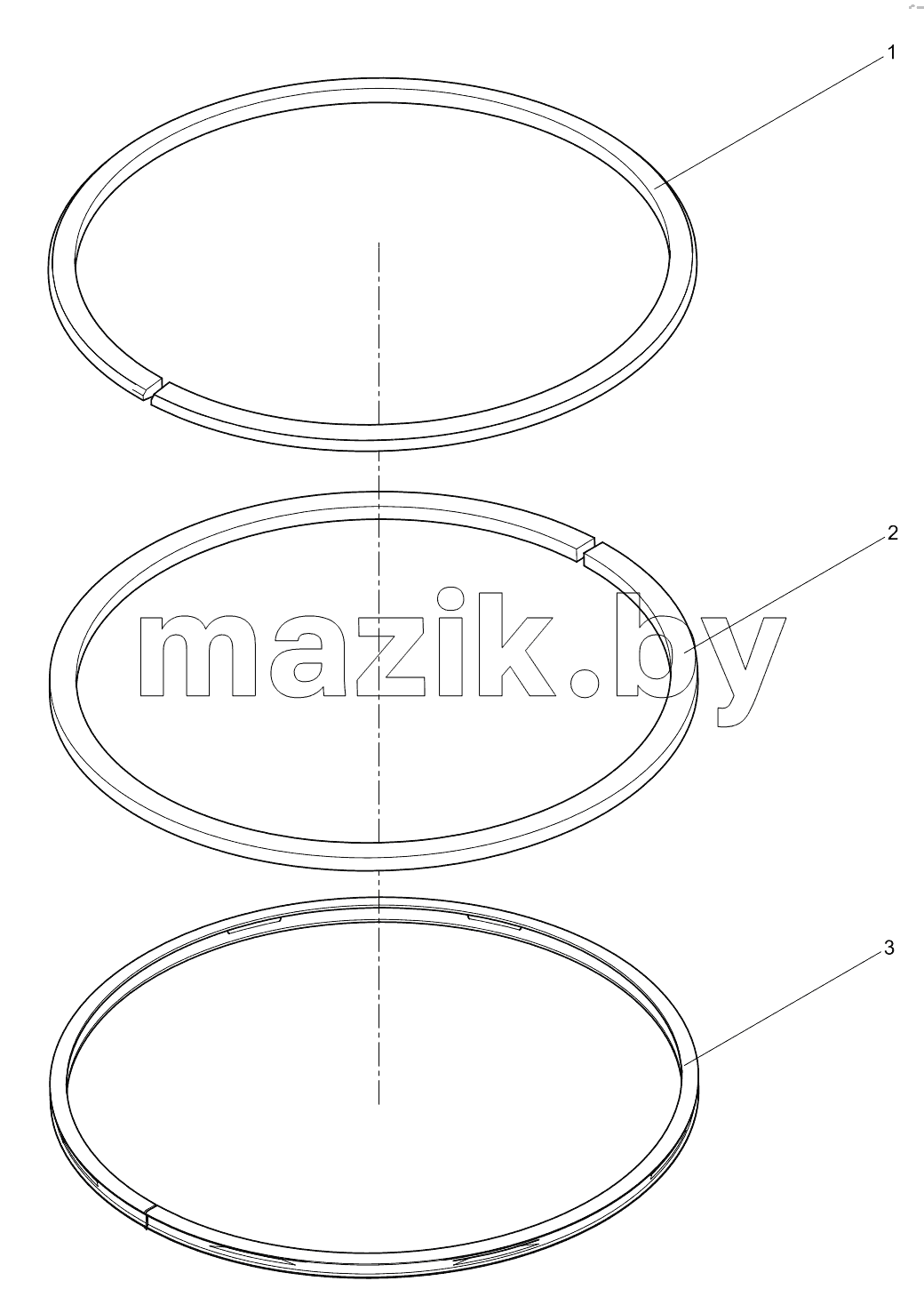  Piston ring assembly