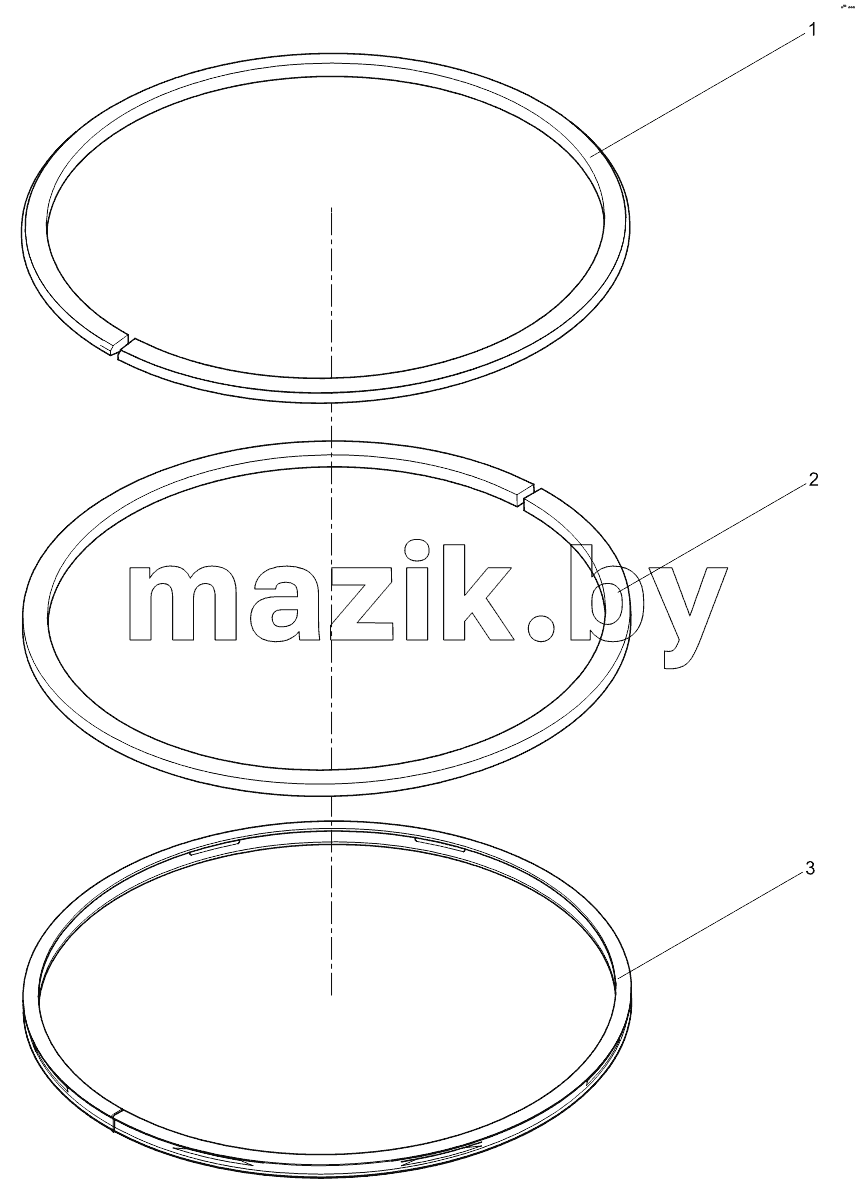 Piston ring assembly