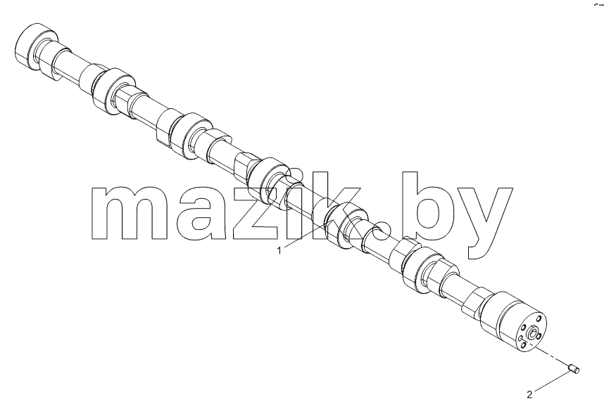 Camshaft assembly