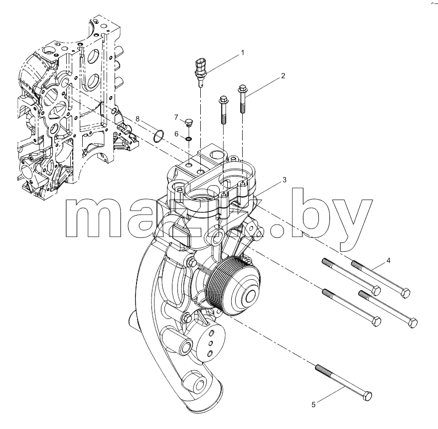 Water pump assembly