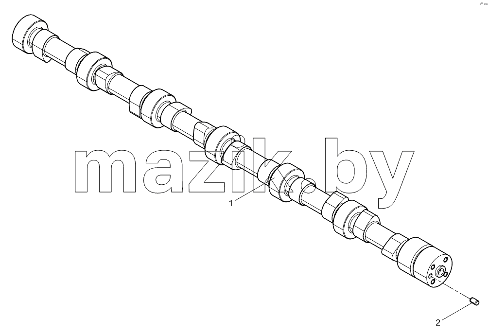  Camshaft Assembly