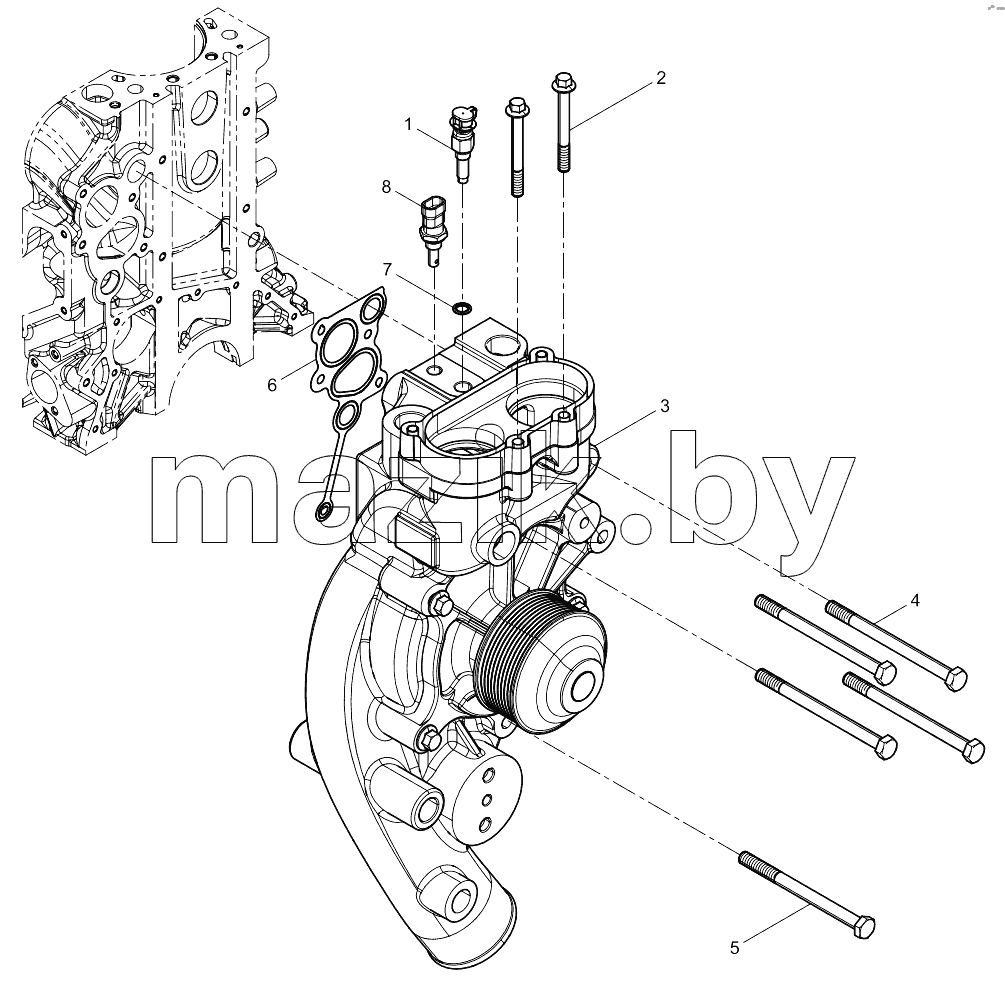  Water Pump Group