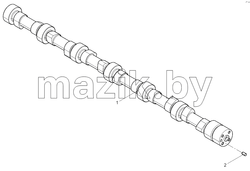  Camshaft Assembly