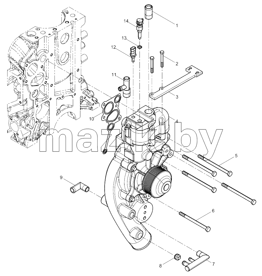 Water Pump Group